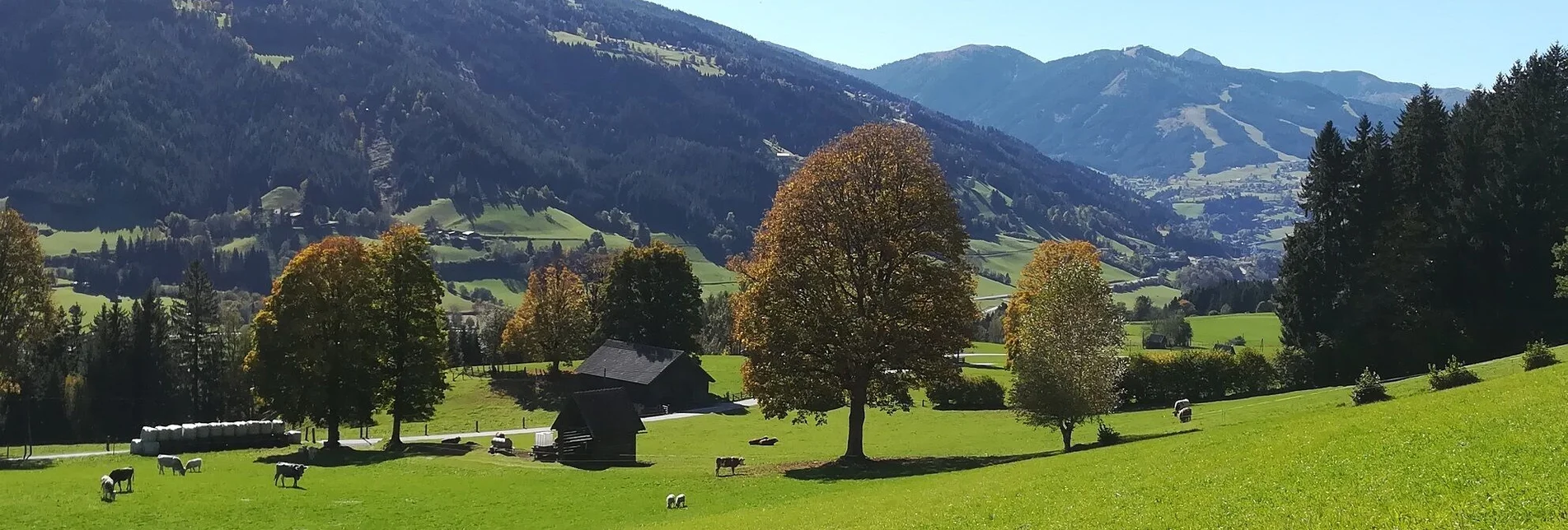 Wanderung Birnberg-Rundweg - Touren-Impression #1 | © Unbekannt