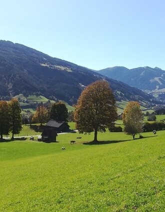Birnberg | Schladming Dachstein | © Unbekannt