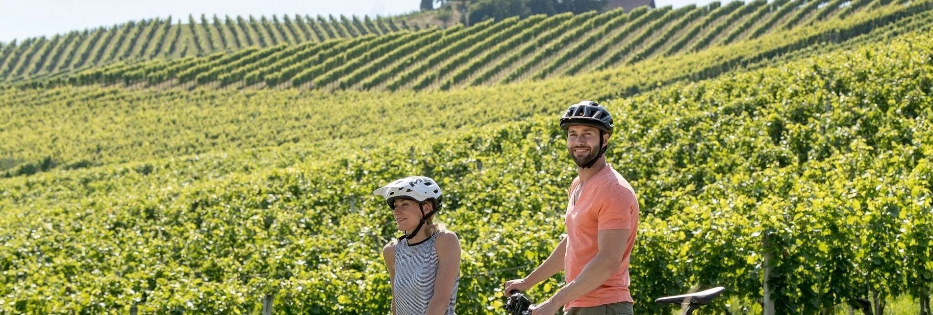 Radfahren Weinstraßenausfahrt - Kreuzberg-Saggautal-Remschnigg - Touren-Impression #1 | © TRV Süd- und Weststeiermark