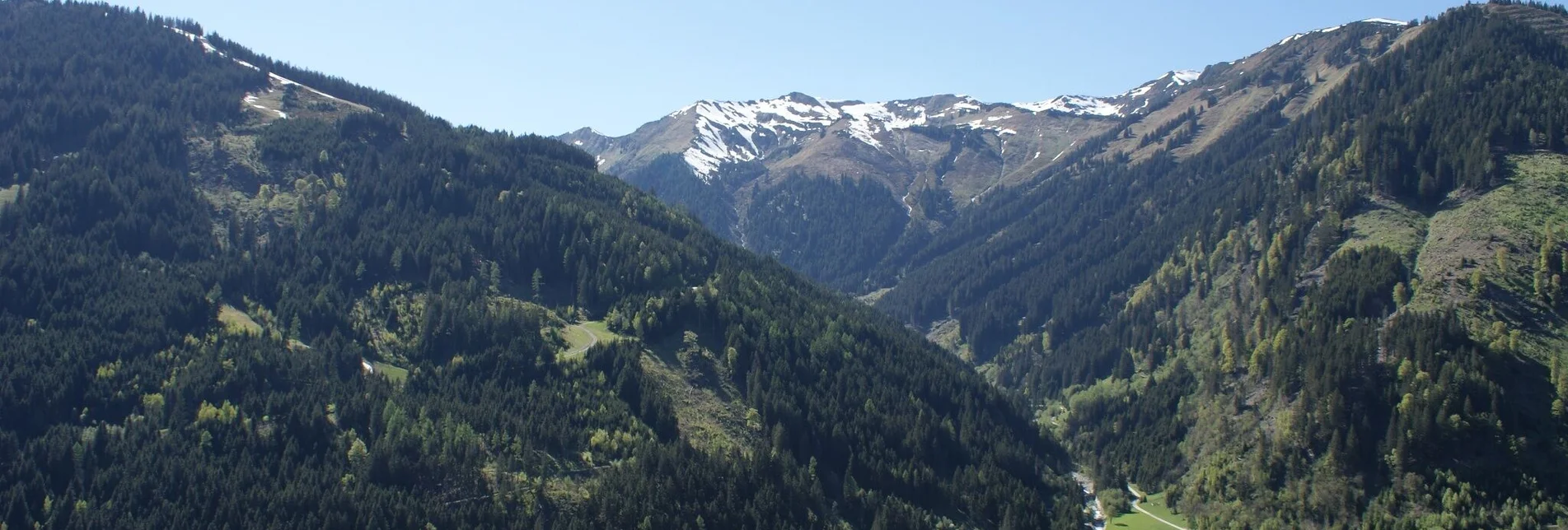 Trail Running Stegerforest Trail - Touren-Impression #1 | © Erlebnisregion Schladming-Dachstein