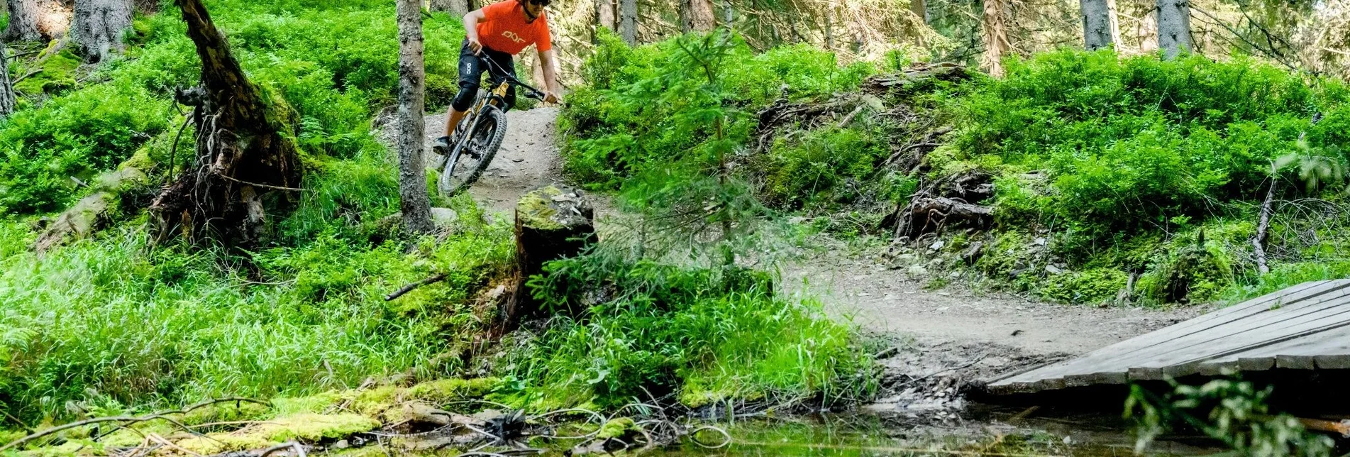 Singletrail Hochalm Trail | 104 - Touren-Impression #1 | © Erlebnisregion Schladming-Dachstein