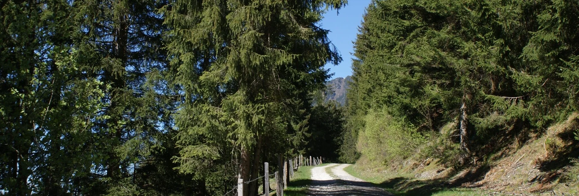 Wanderung Fischeralmweg - Touren-Impression #1 | © Erlebnisregion Schladming-Dachstein