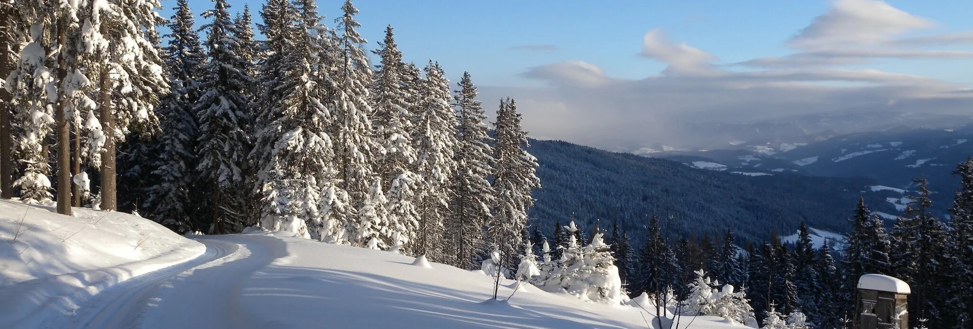 Ski-nordic-classic Teufelstein hiking trail, Fischbach - Touren-Impression #1 | © Johann Zink