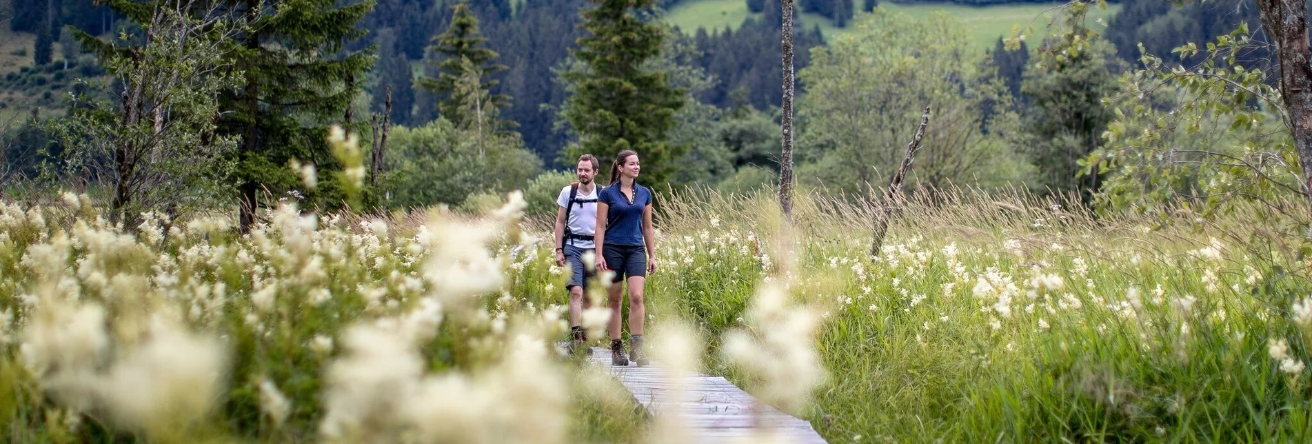 Wanderung Althaus-Hörfeld-Runde - Touren-Impression #1 | © Tourismusverband Murau