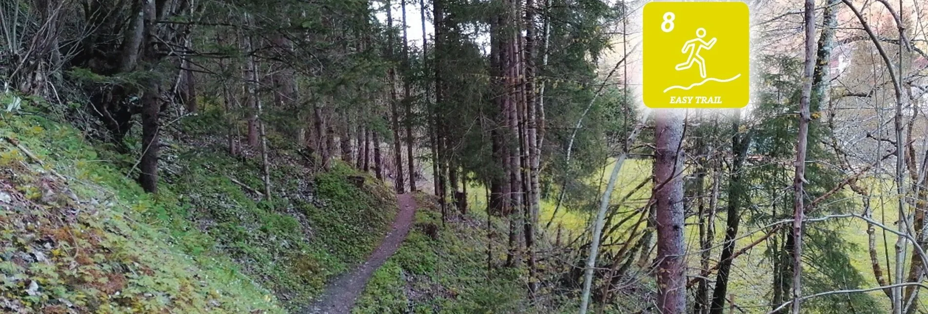 Trail Running Fisherway Trail - Touren-Impression #1 | © Erlebnisregion Schladming-Dachstein