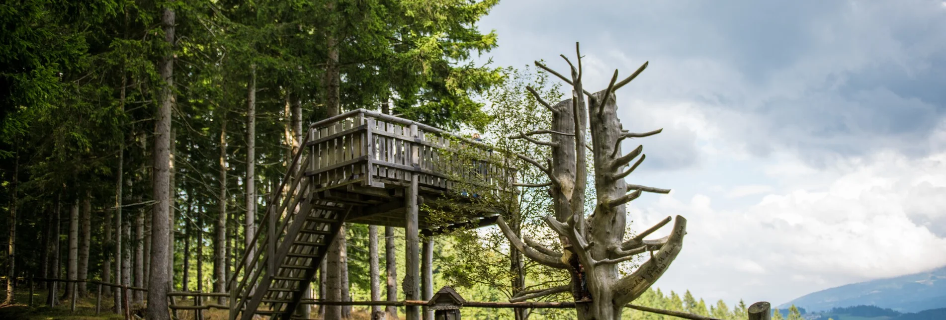 Wanderung Von Obdach über Erlebniswanderweg zur Aussichtsplattform St. Anna - Touren-Impression #1 | © A_FOESSL