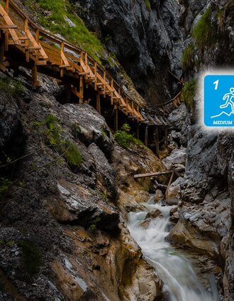 Steiganlage in der Wörschachklamm | Christoph Lukas | © Erlebnisregion Schladming-Dachstein