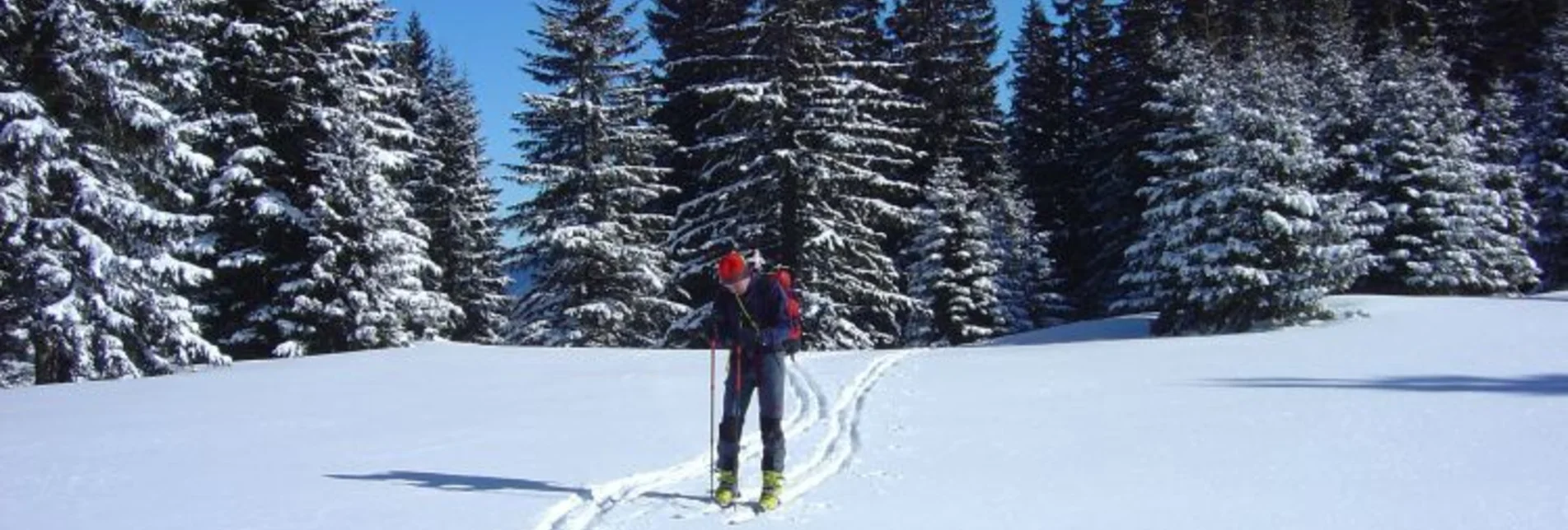 Skitour Skitour auf die Heukuppe - Touren-Impression #1 | © Fiona Ulm