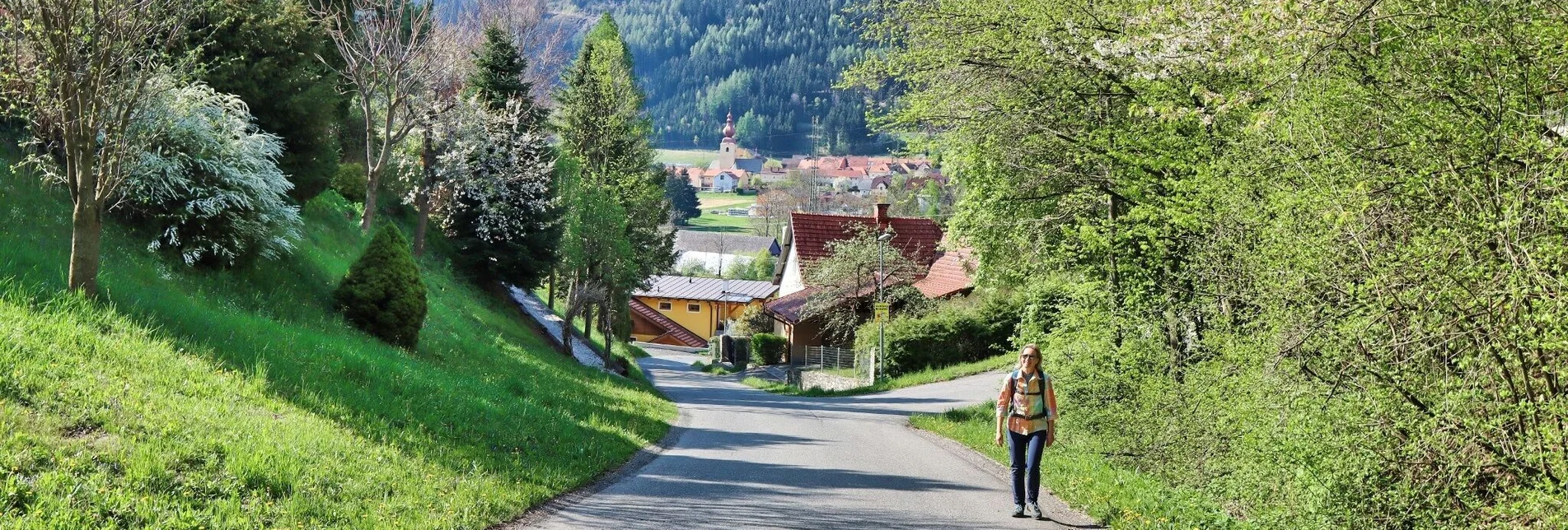 Hiking route Gerschkogel - Touren-Impression #1 | © Weges OG