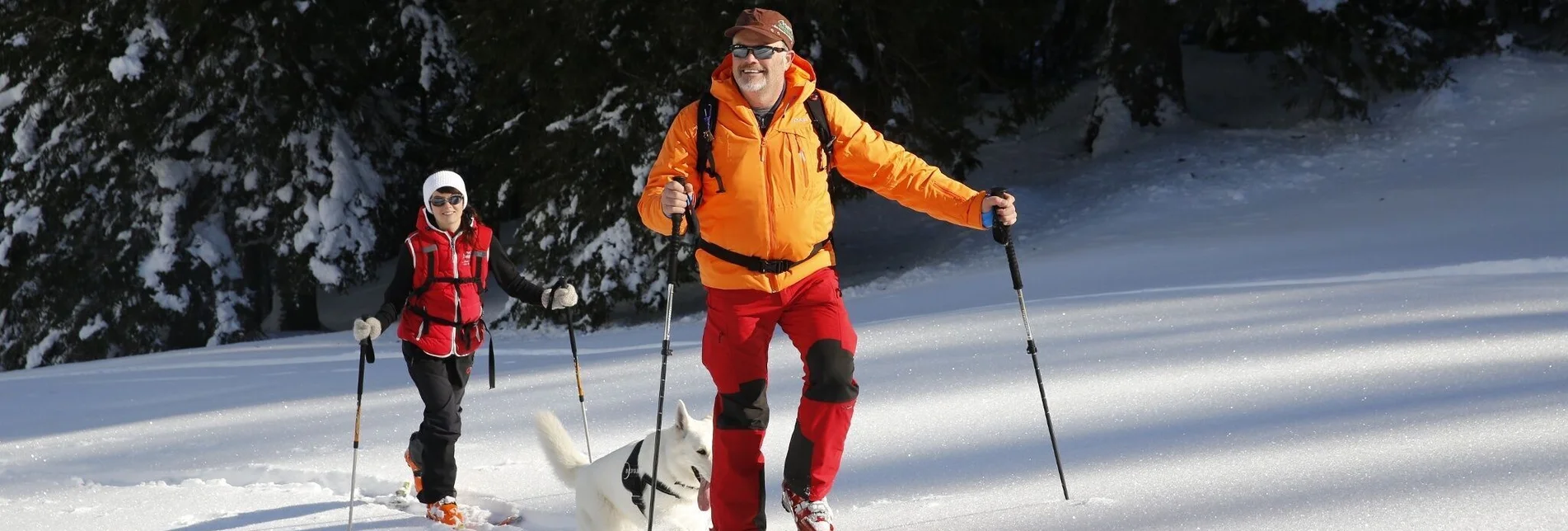 Ski Touring Krugkoppe, beginner's tour with magnificent scenery! - Touren-Impression #1 | © Erlebnisregion Murtal