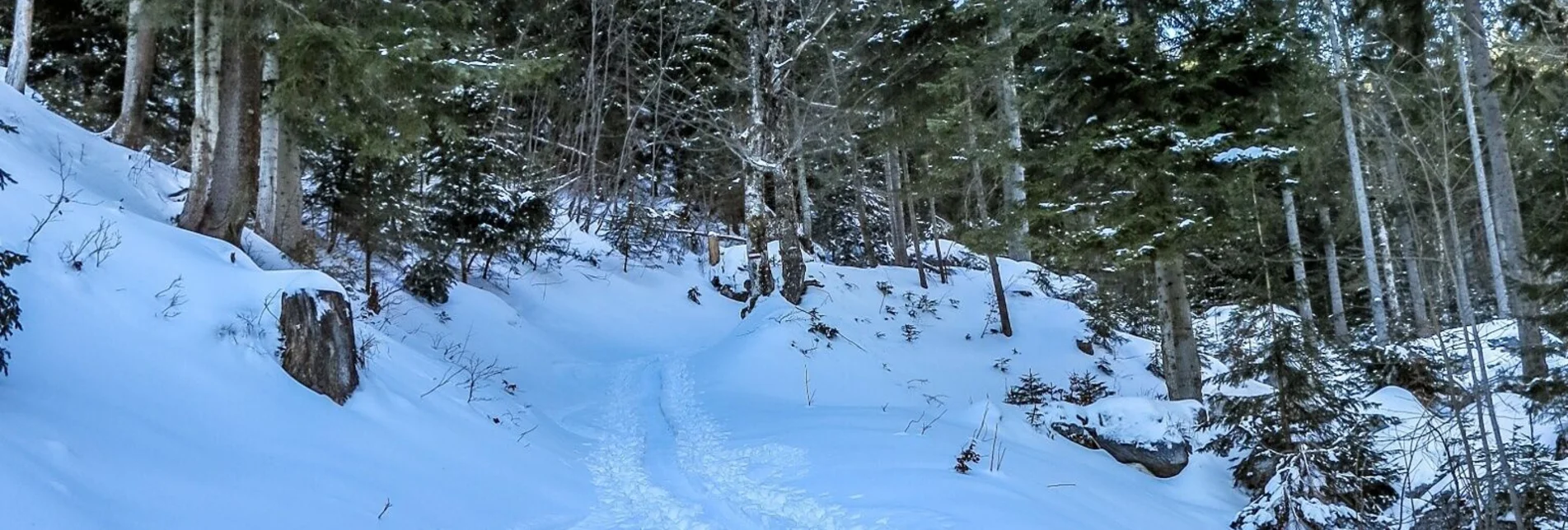 Ski Touring Gr. Meiereck - Touren-Impression #1 | © TV Gesäuse