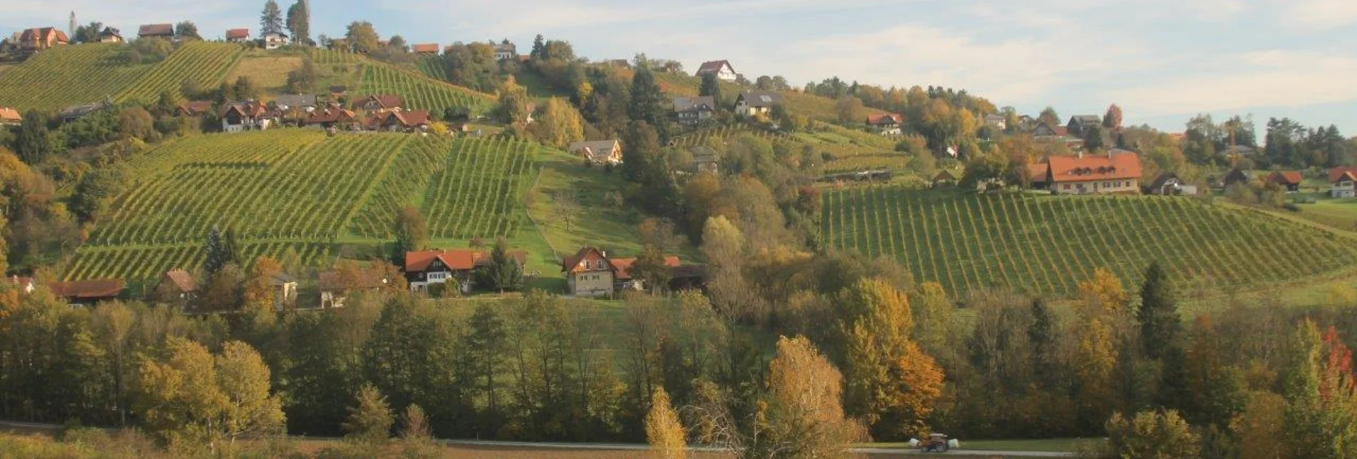 Wanderung Genuss-Schilchern Familienrundweg - Touren-Impression #1 | © TVB Südsteiermark/Michael Lang