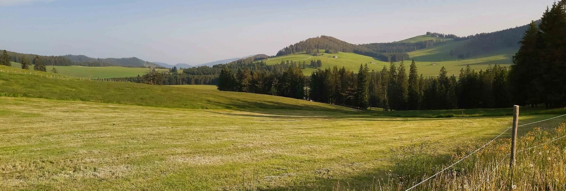 Hiking route Gerlerkogel, von der Teichalm - Touren-Impression #1 | © Oststeiermark Tourismus