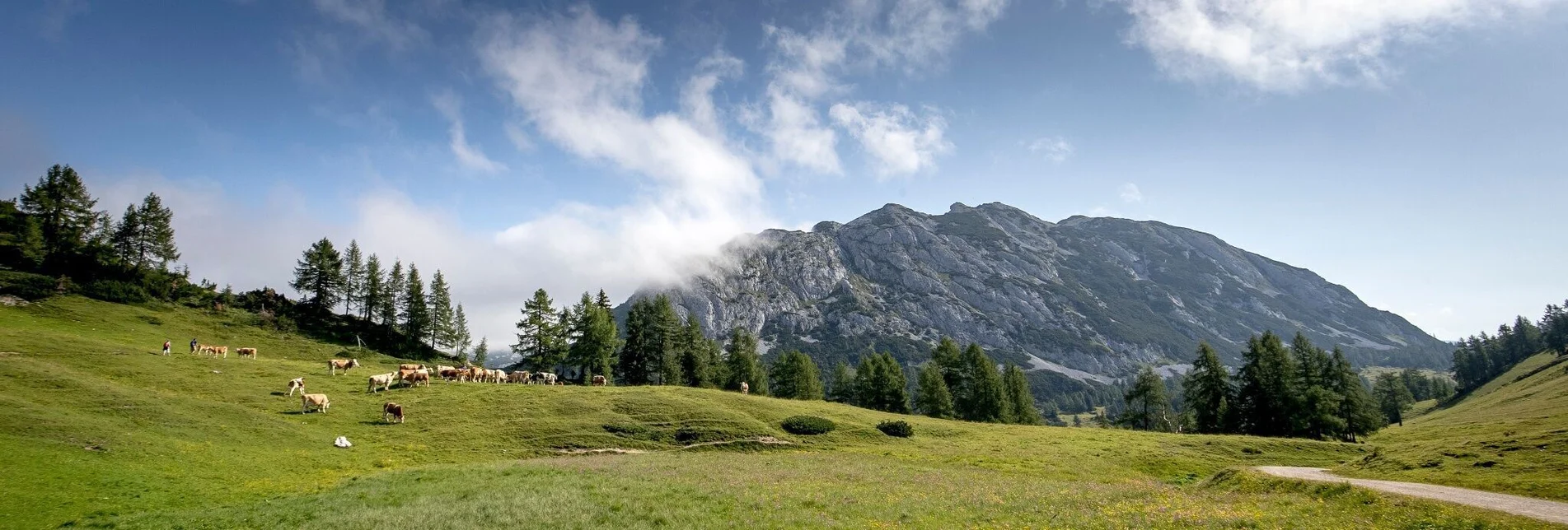 Wanderung Kinderwagengerechte Wanderrunde auf der Tauplitzalm - Touren-Impression #1 | © Ausseerland