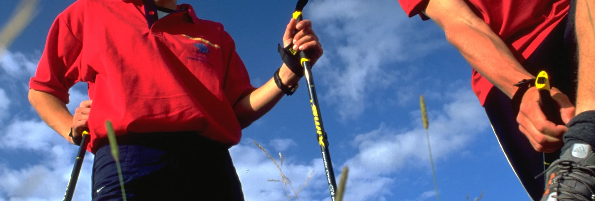 Nordic Walking Forest Trail - Touren-Impression #1 | © Tourismusverband Schladming - Herbert Raffalt