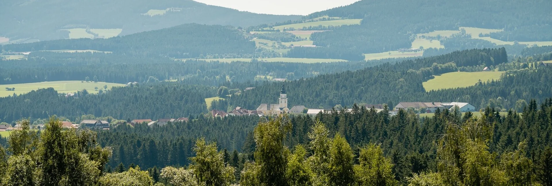 Bike Riding Arzbergrunde from Wenigzell, Wenigzell - Touren-Impression #1 | © Oststeiermark Tourismus