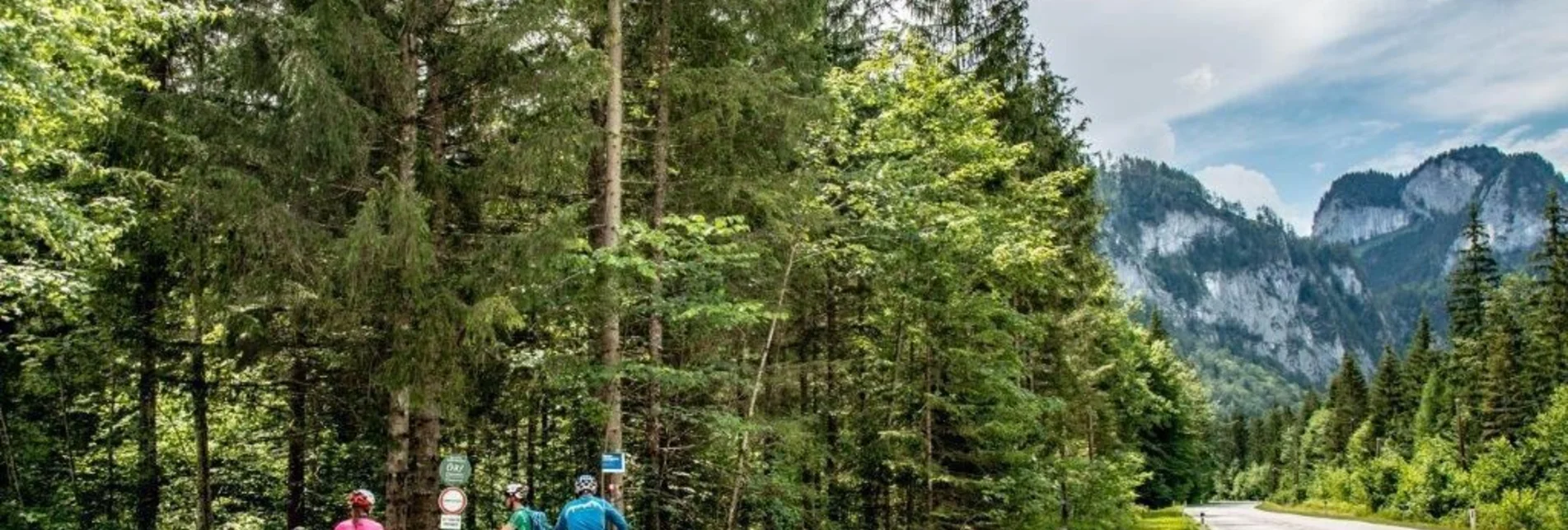 Mountainbike Torsattel   Wildalpen-Gams - Touren-Impression #1 | © TV Gesäuse