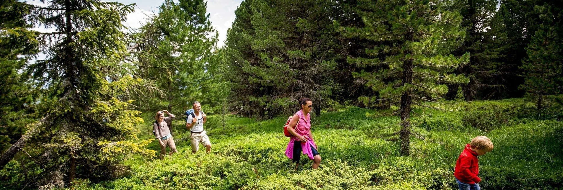 Hiking route Kreischberground - Touren-Impression #1 | © Tourismusverband Murau