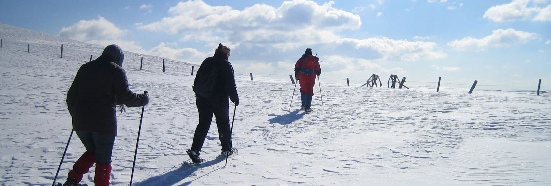 Snowshoe walking Old snowshoe trail Maria Schönanger - Touren-Impression #1 | © Tourismusverband Murau