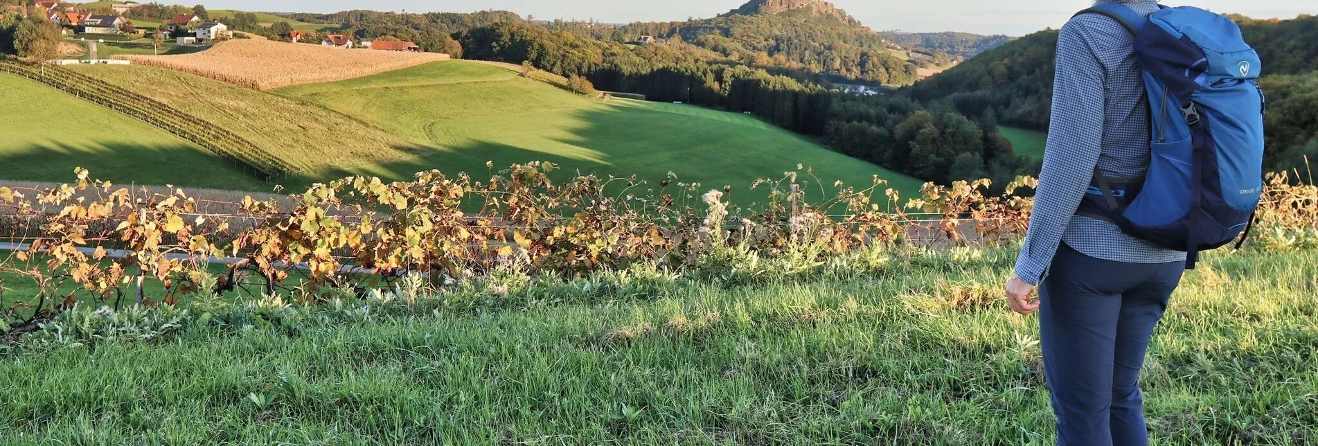 Wanderung Zotter-Schleife Genusswanderweg Riegersburg - Touren-Impression #1 | © Weges OG