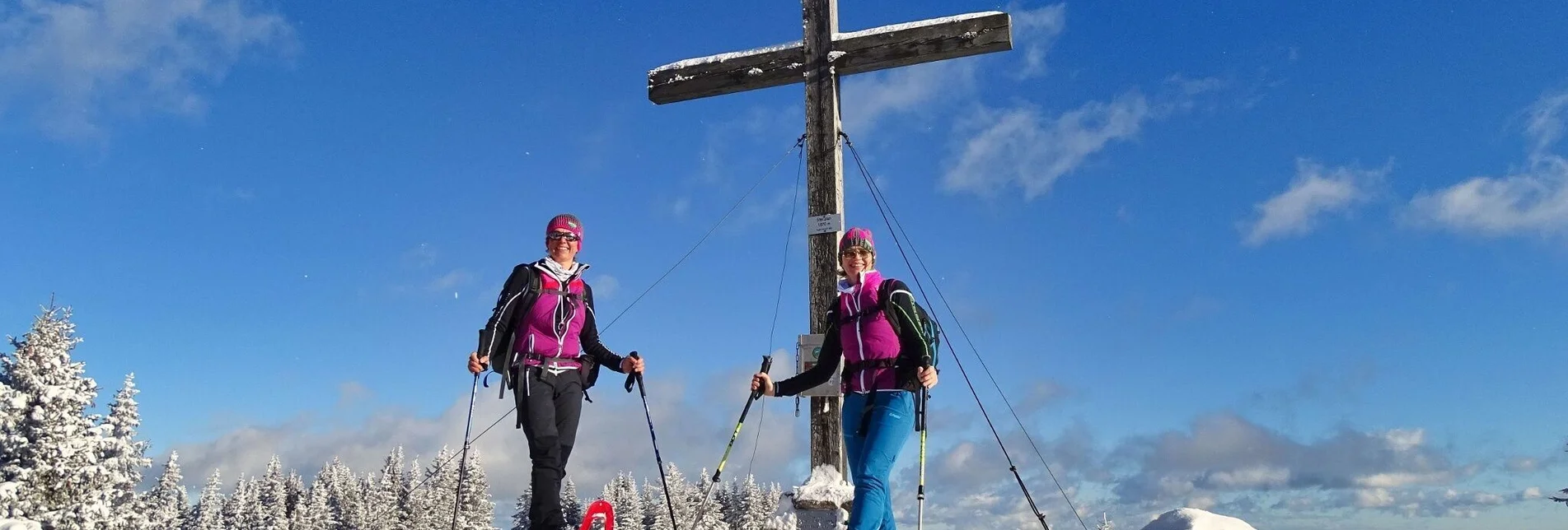 Schneeschuh Schneeschuhwanderung - Steinplan über Kleinlobming - Touren-Impression #1 | © Weges OG