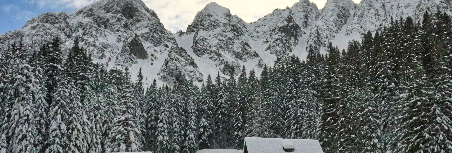 Schneeschuh Mödringalm – markierter Schneeschuh-Trail im Triebental - Touren-Impression #1 | © Weges OG