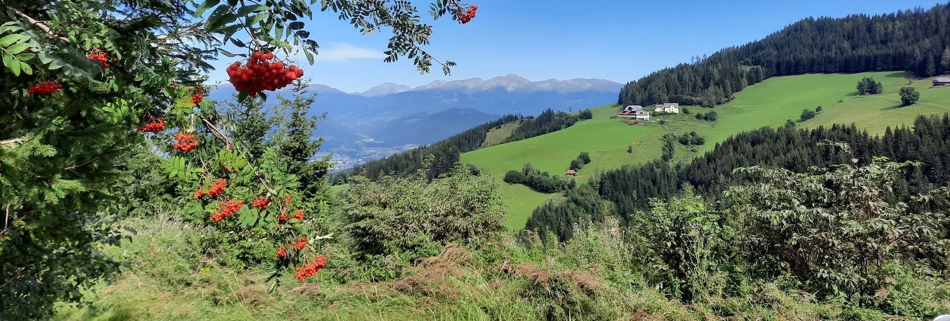 Wanderung Steinplan über Sonnseite - Touren-Impression #1 | © WEGES OG