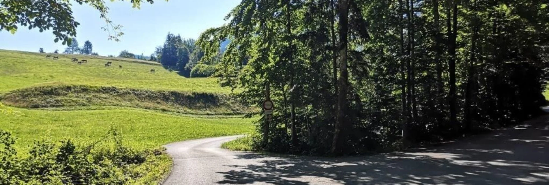 Wanderung Landler Spazierweg #8 Sulzarunde - Touren-Impression #1 | © TV Gesäuse