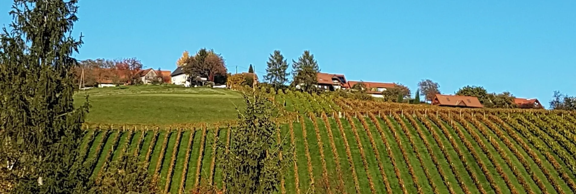 Wanderung Marhofer Genusswanderweg Nr. 11 - Touren-Impression #1 | © Südsteiermark