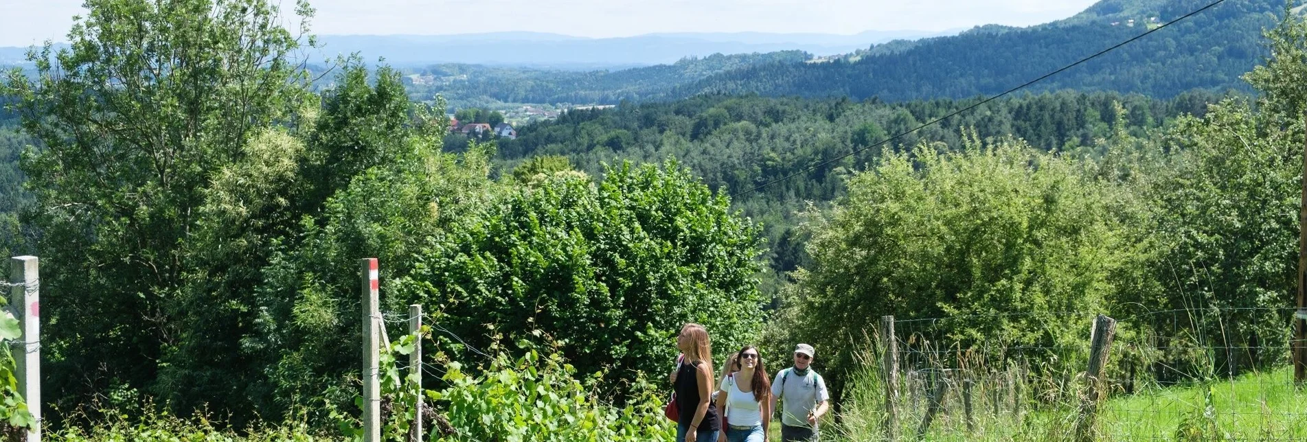 Hiking route Gundersdorf circular route - Touren-Impression #1 | © TVB Südsteiermark/Markus Trinkel