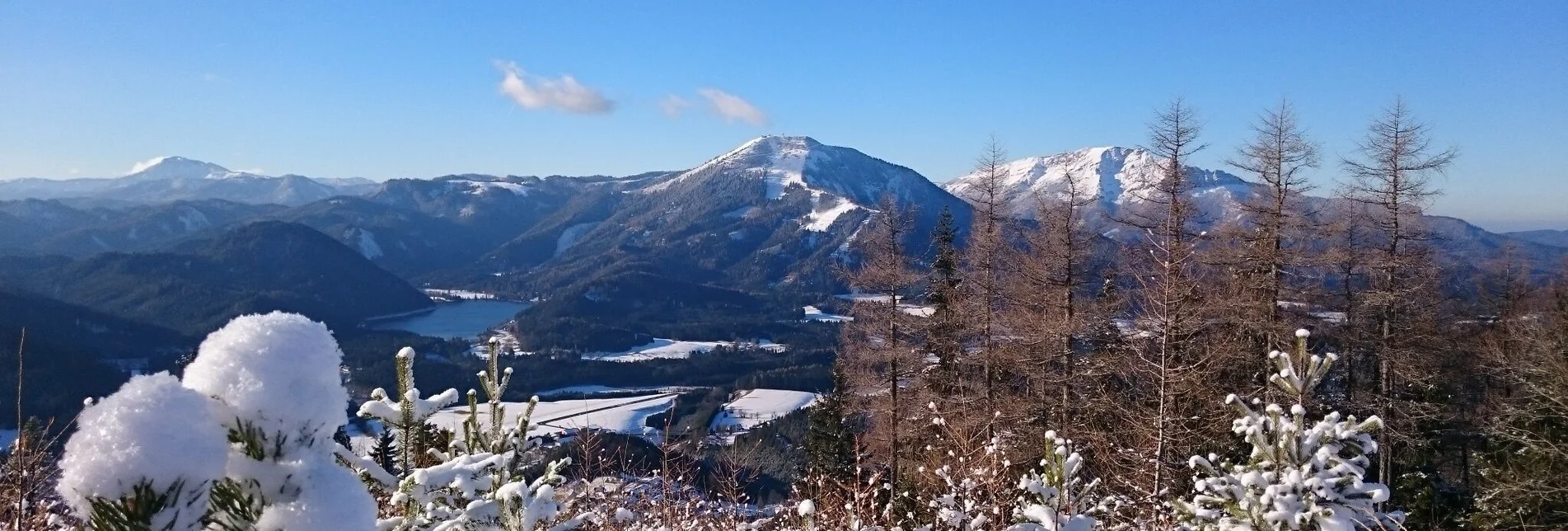 Schneeschuh Schneeschuhwanderung auf die Mariazeller Bürgeralpe über den Habertheuersattel - Touren-Impression #1 | © TV Hochsteiermark