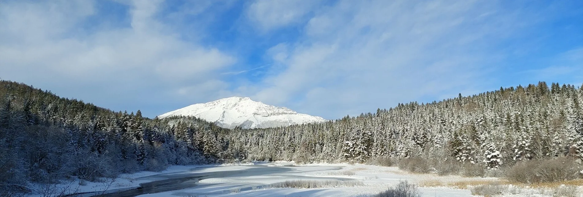 Winter Hiking Erlaufstausee - small tour - Touren-Impression #1 | © TV Hochsteiermark