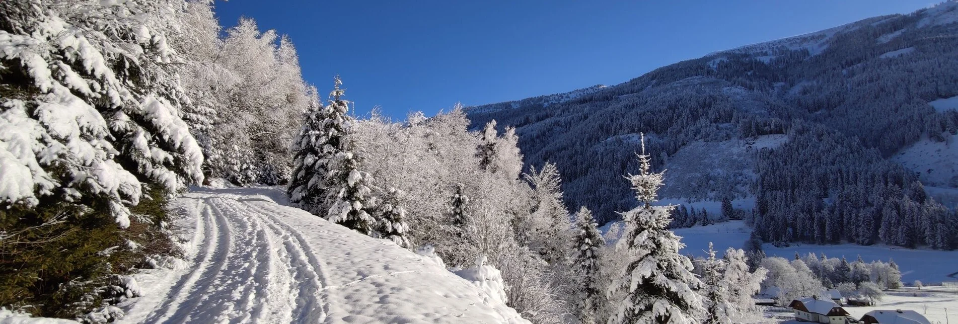 Winterwandern Winterwanderung Vorderwald Runde - Touren-Impression #1 | © Erlebnisregion Schladming-Dachstein