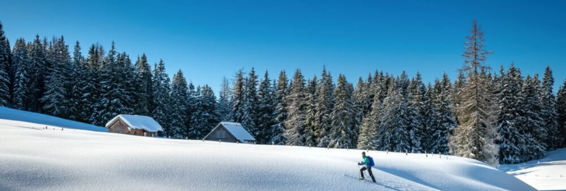 Skitour Skitour Viehbergalm - Touren-Impression #1 | © Erlebnisregion Schladming-Dachstein