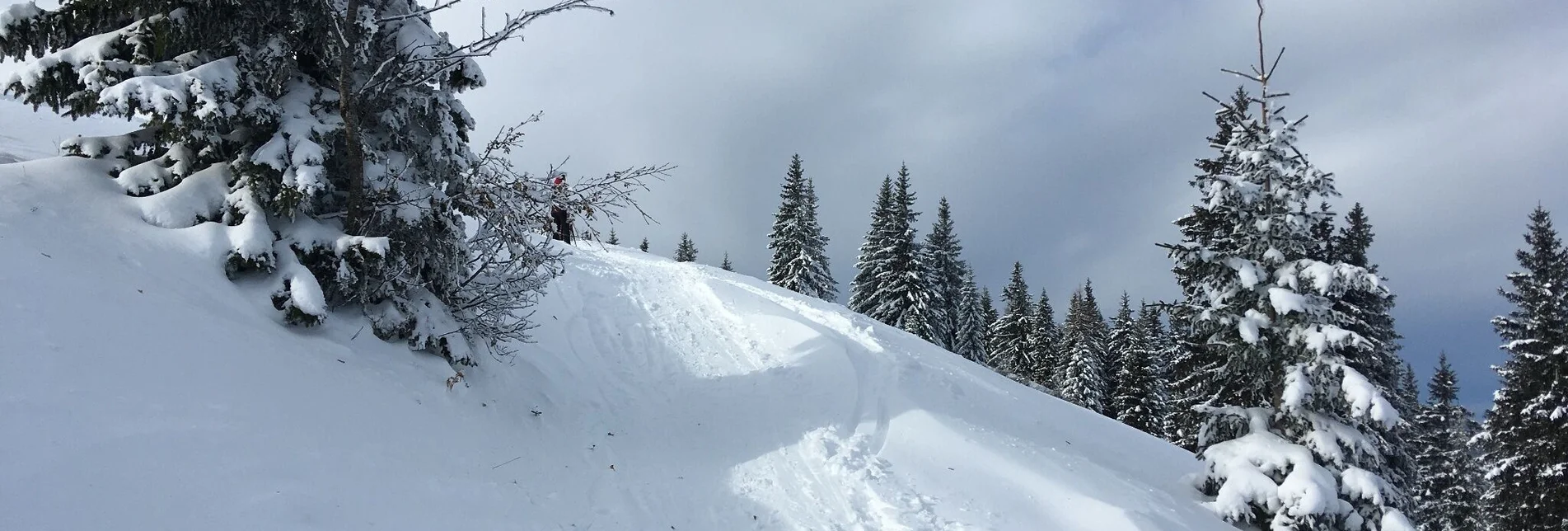 Ski Touring Ski tour to the Wetterin - Touren-Impression #1 | © TV Hochsteiermark