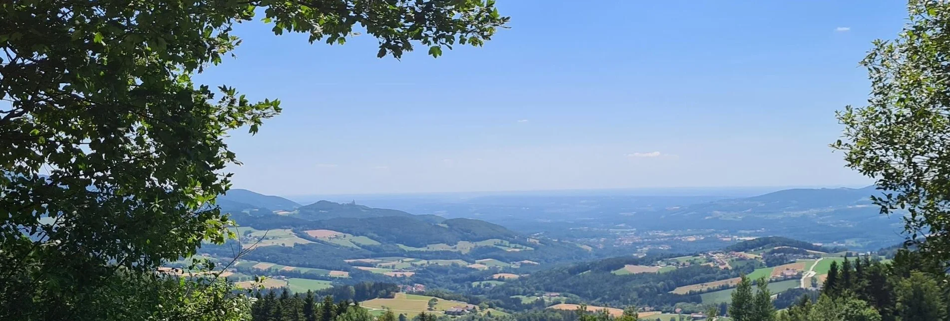 Hiking route Circumnavigation of the Pöllau Valley Nature Park, Pöllau - Touren-Impression #1 | © Oststeiermark Tourismus