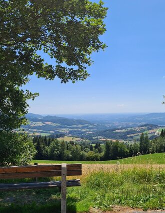 Schloffereck vantage point in Eastern Styria | Christine Schwetz | © Oststeiermark Tourismus