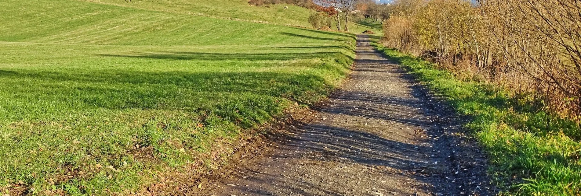 Wanderung Sillweger Aussichtswarte von Rattenberg - Touren-Impression #1 | © Weges OG