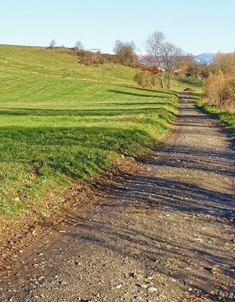 Über Feldwege wandern wir nach Sillweg | Weges OG | © Weges OG