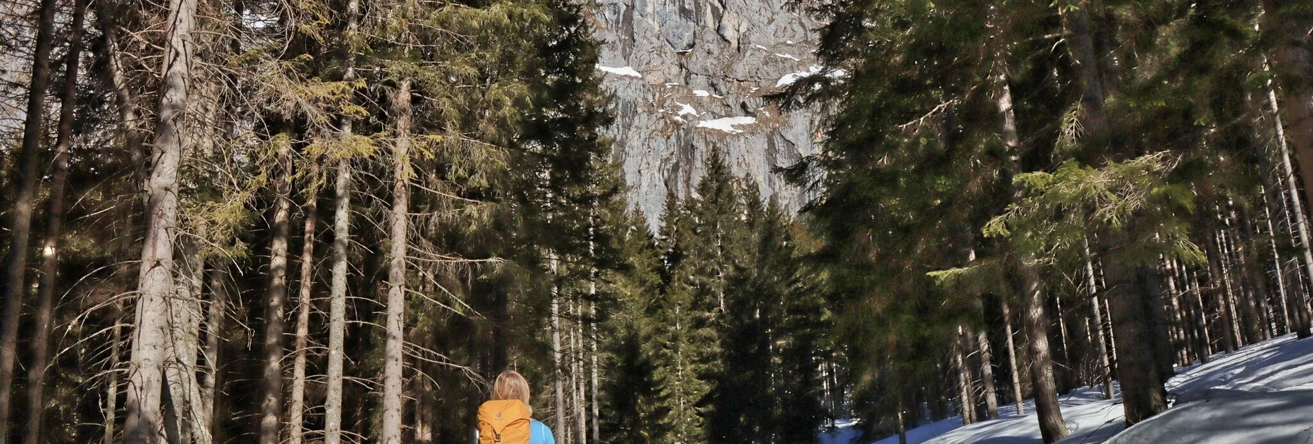 Snowshoe walking Sonnschienalm - Touren-Impression #1 | © Weges OG