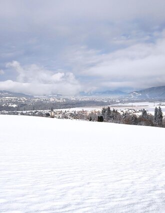 winterwanderung auf dem  waldrundweg in lobming_img_56074845 | WEGES OG | © WEGES OG