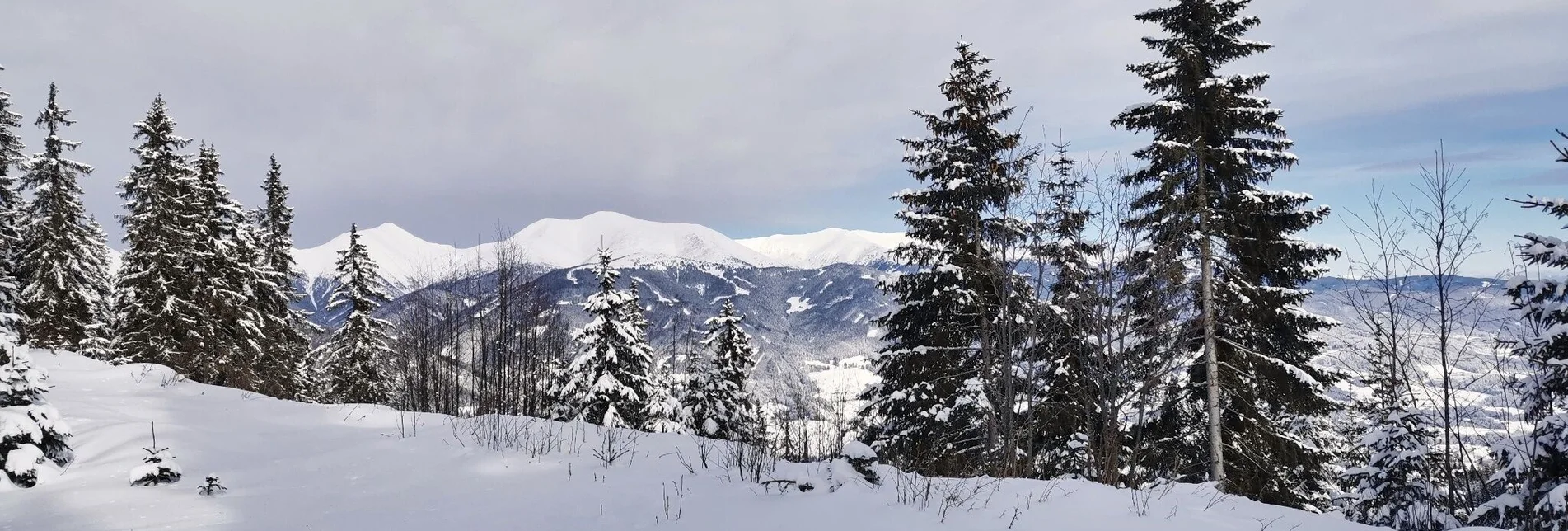 Winterwandern Winterwanderung in Seckau - Touren-Impression #1 | © Weges OG