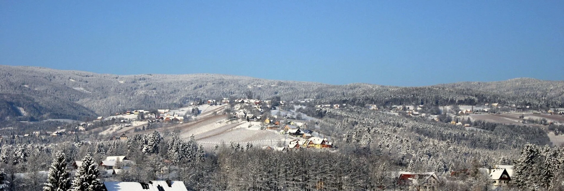 Winterwandern Winter-Wanderung: Weingärten Hochgrail - Touren-Impression #1 | © TVB/Südsteiermark/Alois Rumpf