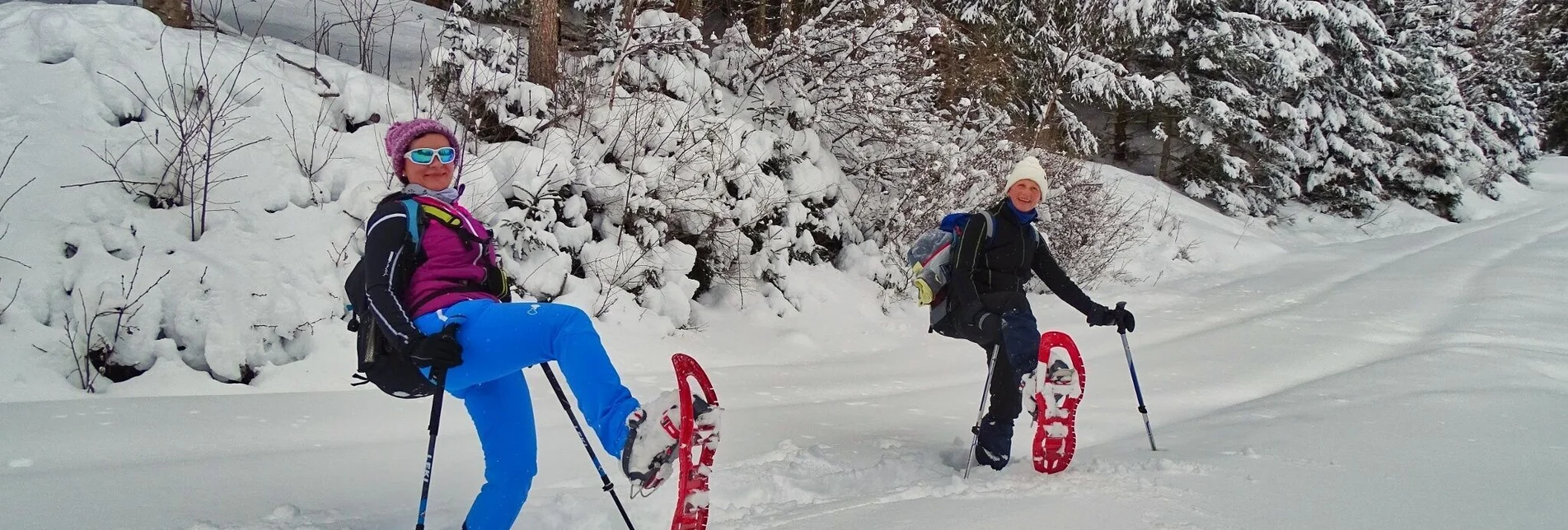 Snowshoe walking Habring snowshoe hike - Touren-Impression #1 | © Weges OG