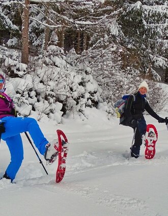 Schneeschuhspaß auf Forstwegen | Weges OG | © Weges OG