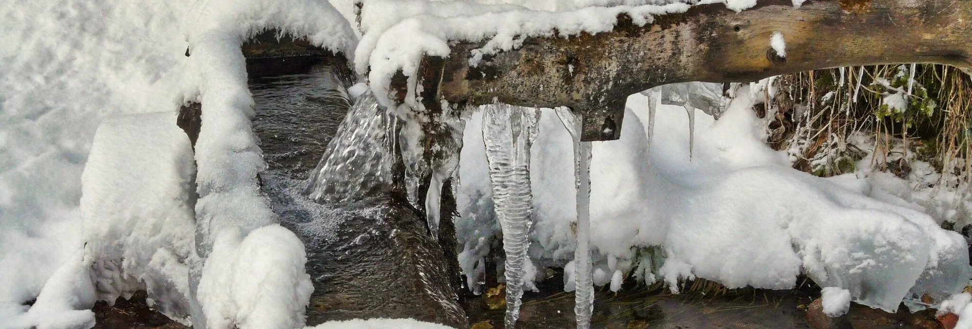 Schneeschuh Schneeschuhtour Hohe Ranach - Touren-Impression #1 | © Weges OG