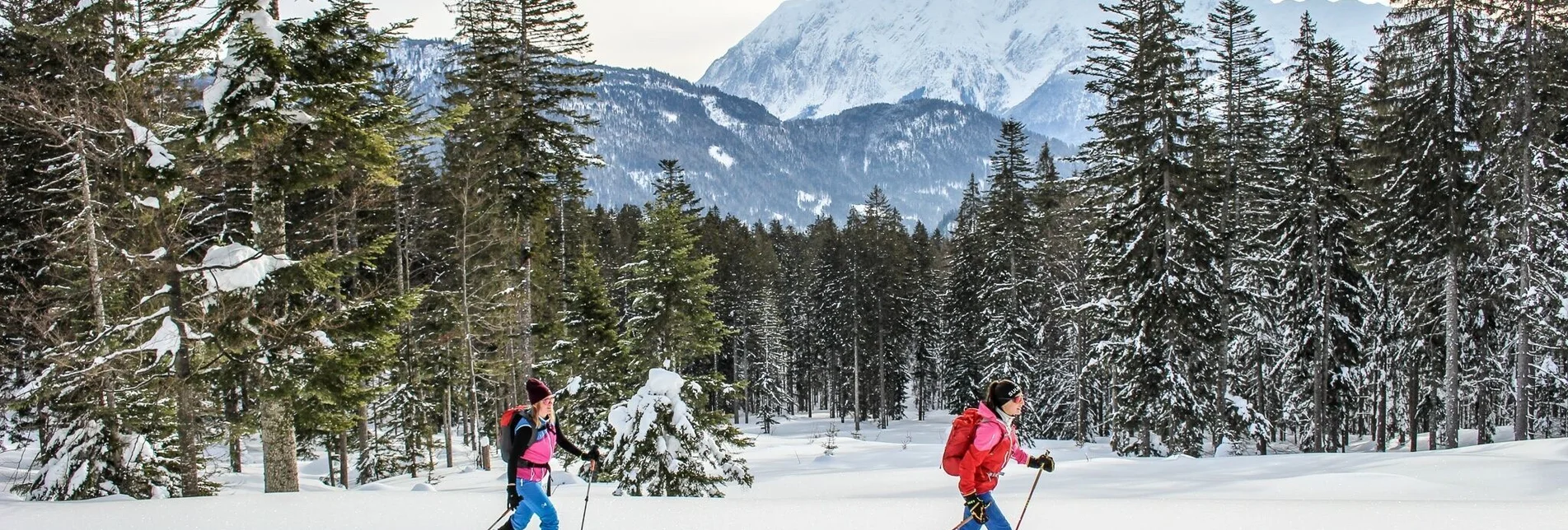 Skitour Skitour auf die Tauplitzalm über "alten Almweg" - Touren-Impression #1 | © TVB Ausseerland - Salzkammergut