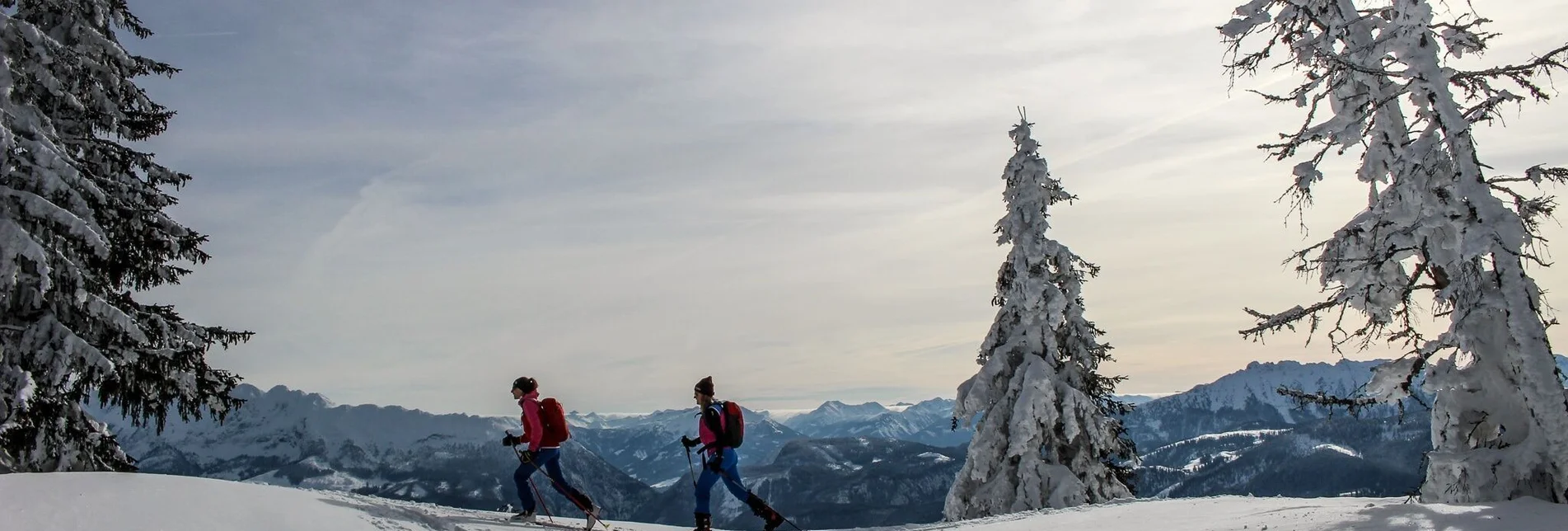 Ski Touring Ski tour to the Almkogel - Touren-Impression #1 | © TVB Ausseerland - Salzkammergut