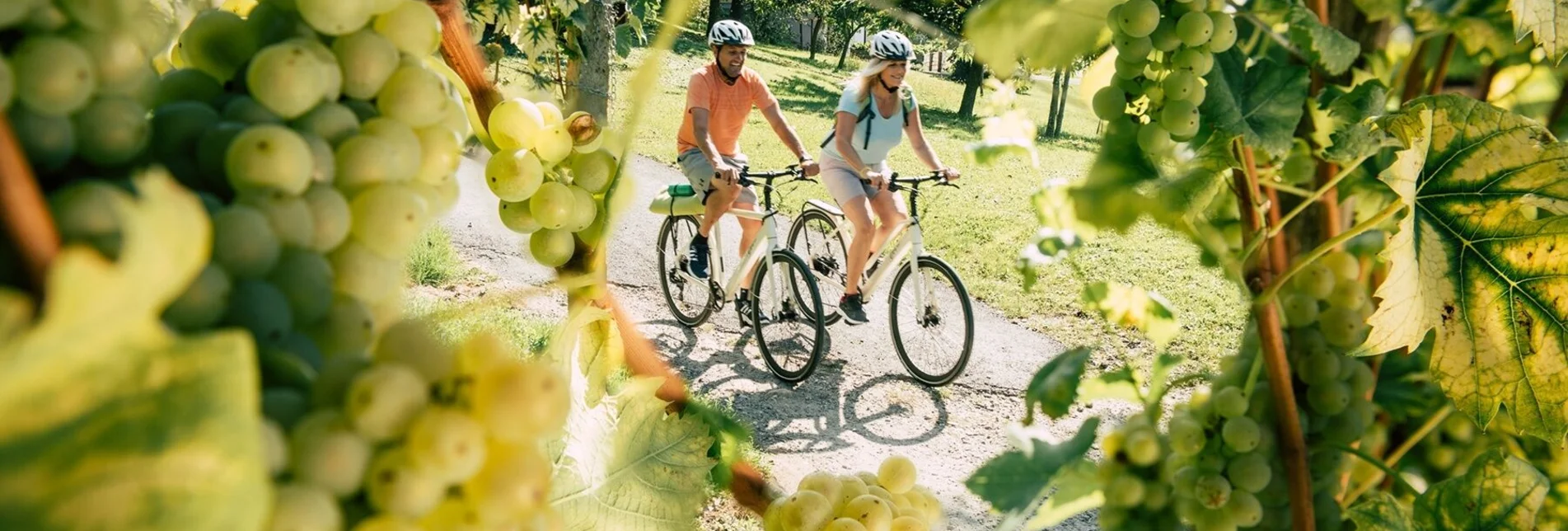 Road Cycling Cycling into history, Hartberg - Touren-Impression #1 | © Oststeiermark Tourismus