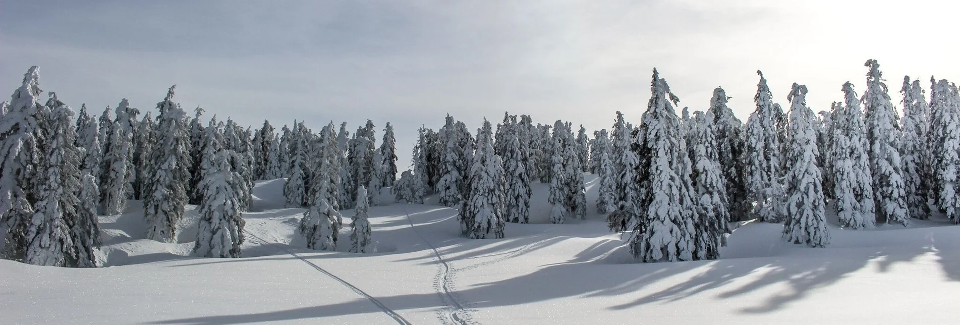 Skitour Skitour auf das Große Tragl | Überschreitung mit Geisterwaldabfahrt - Touren-Impression #1 | © TVB Ausseerland - Salzkammergut